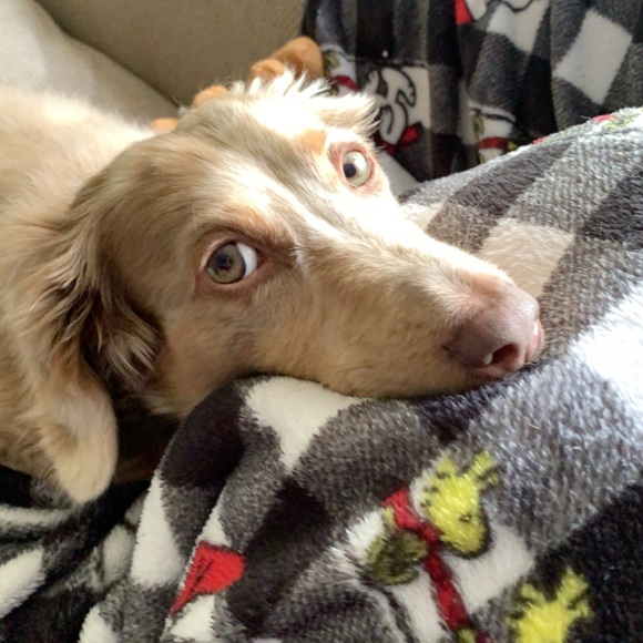 Share for share...⬇️⬇️⬇️⬇️. PLEASE read below. - Picture 10 of 16